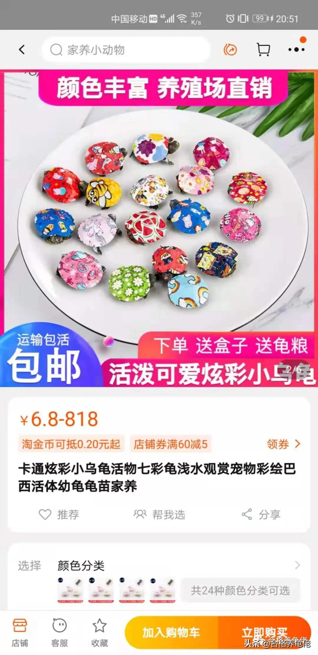 盘点黑心商家们对待龟的恶劣手段