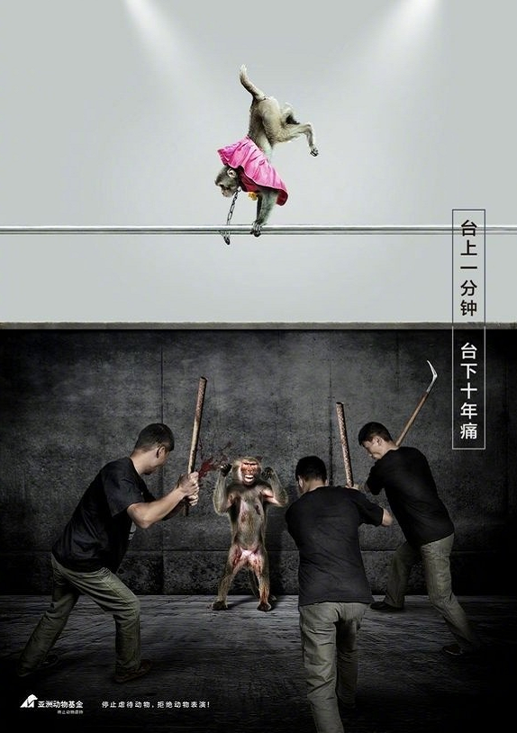 疫情未结束，另一场席卷70亿人的危机还在发生