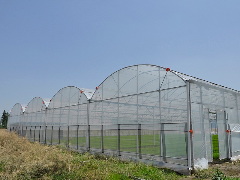 标准型8430薄膜连栋温室大棚设计建造注意事项薄膜大棚造价