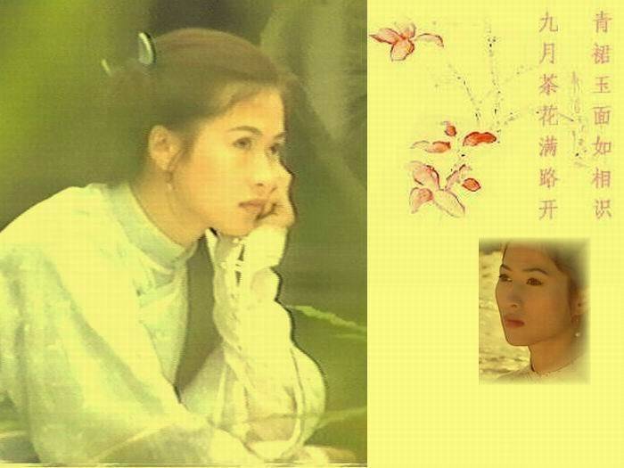 选美落选却成打星，事业当红为父息影，今49岁仍单身