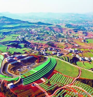 四川仪陇：做强农业园区引领乡村振兴