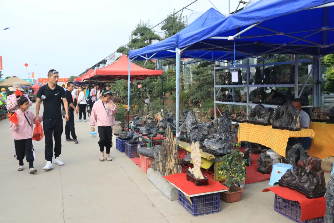 大饱眼福，第八届中国沭阳花木节竟如此精彩！你想看的全在这里…