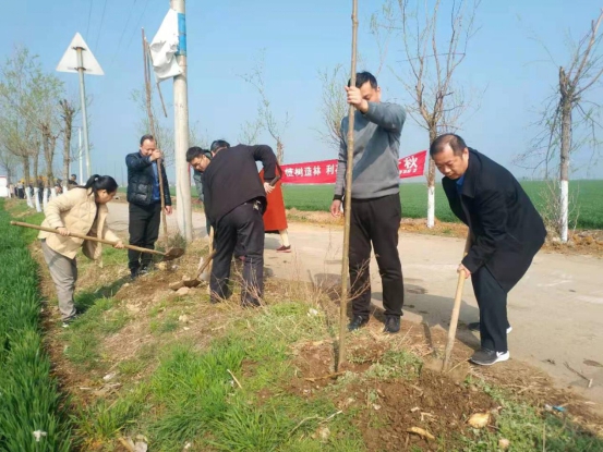河南省宛城区：植树造林扮靓乡村
