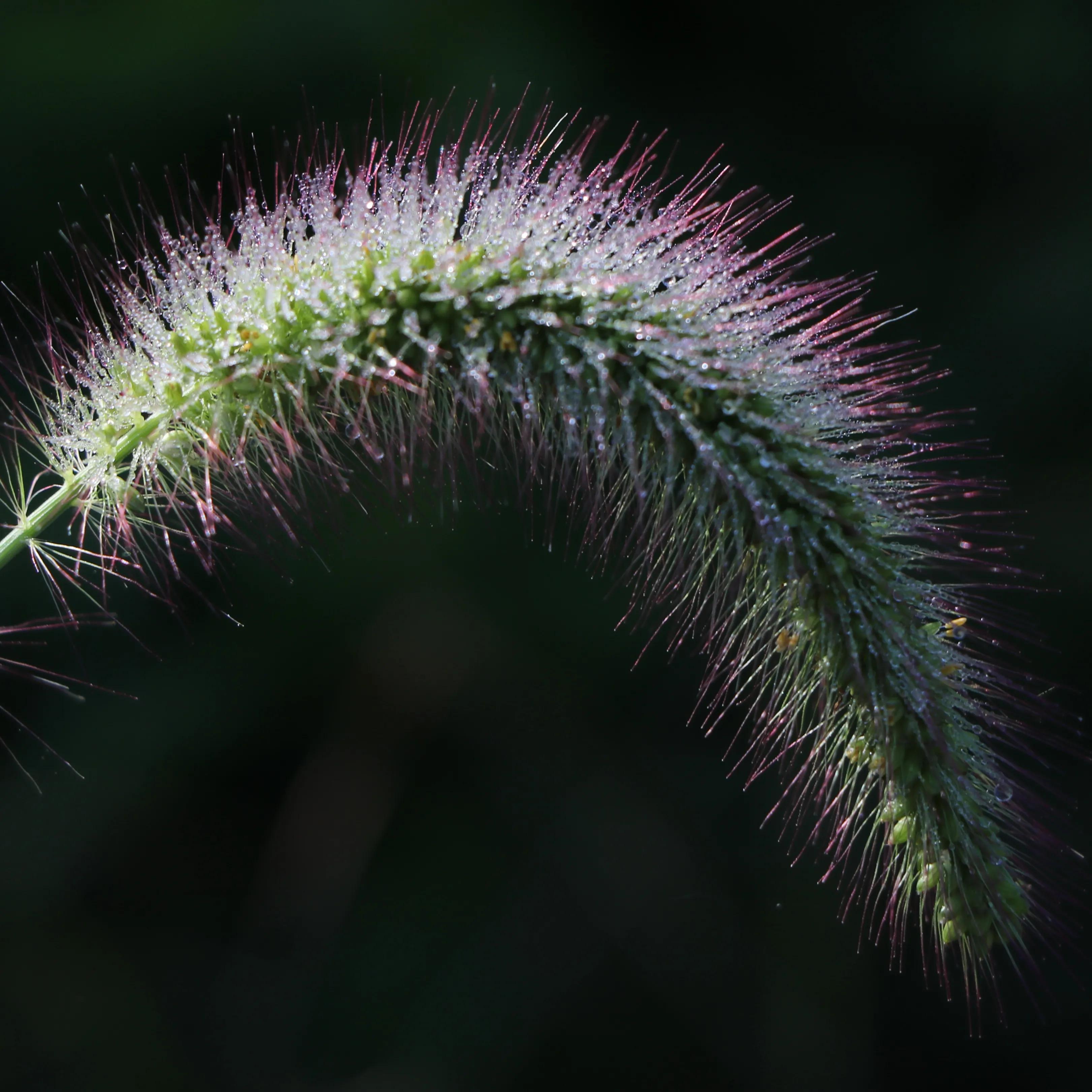 北京植物園一日游