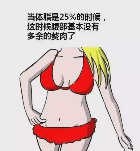 男女體脂對照圖，看看你是哪一種？