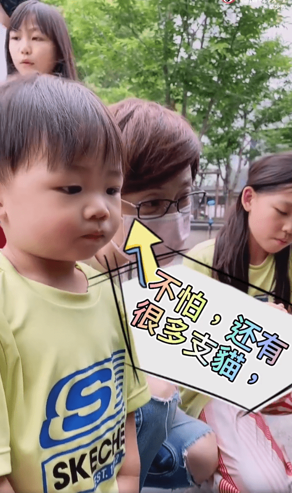 蔡少芬张晋携儿女喂流浪猫，一家五口幸福同框，鱼蛋小奶音超萌