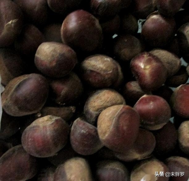 There is a trick to boil chestnuts. They are easy to peel when they are done. In fact, it is done with one trick.