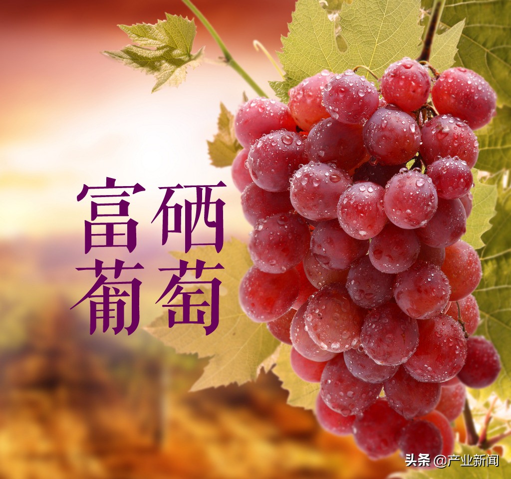 2020新经济环境下，传统农业如何逆境突围?（第一