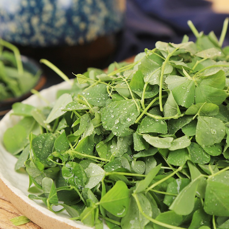 Ԫ����δ������������������ �����ˡ��㴻�����ﶼ��������