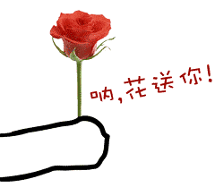 國(guó)際助產(chǎn)士日 
