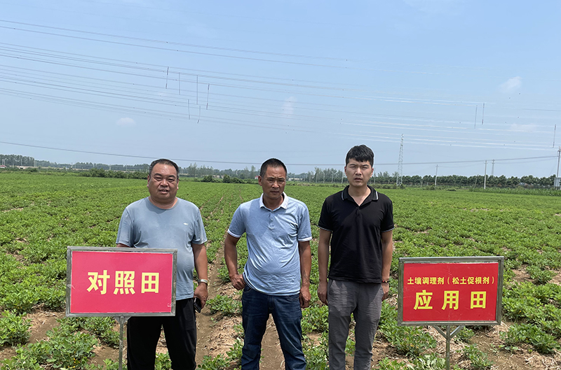 經濟作物種植，離不開的，科學土壤培肥方法