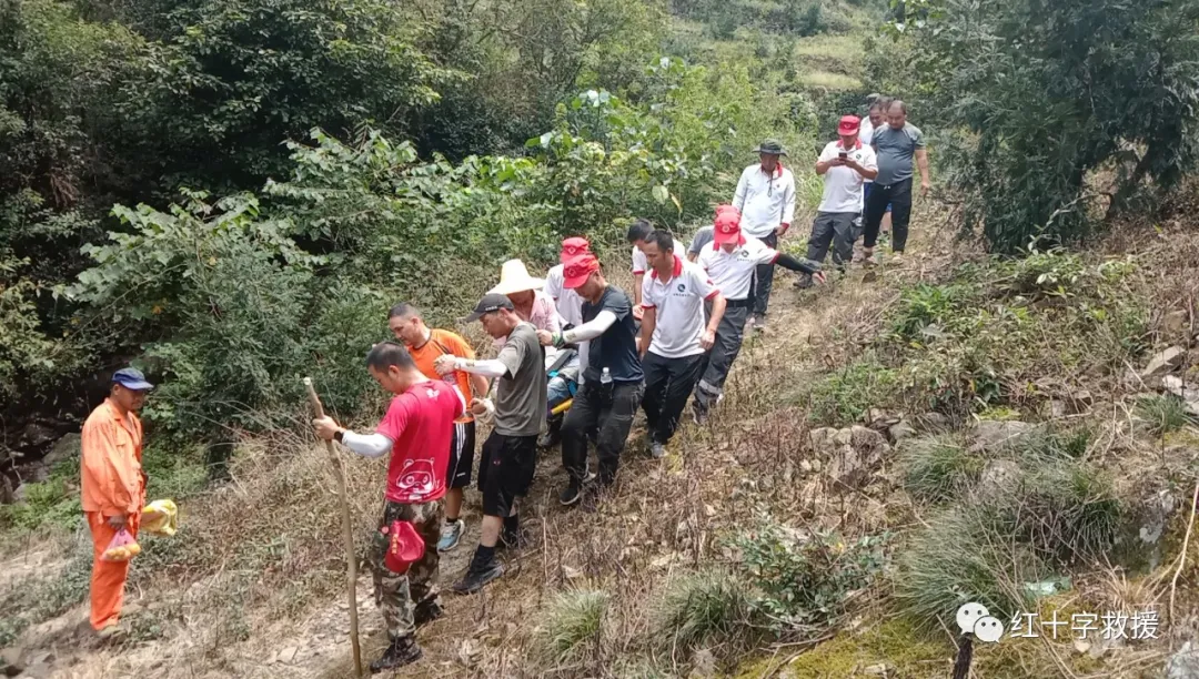 虎鹿一村民采摘香榧不慎受伤,救援队员接力将其运送下山