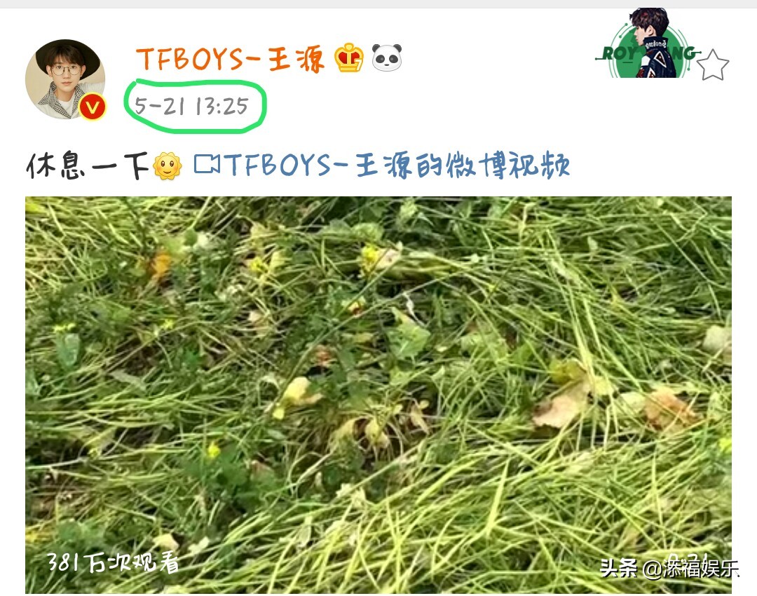 TFBOYS过521，三人风格不一，有人在拍蝴蝶有人却在当“电灯泡”