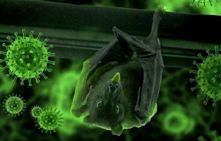 一己之力感染533人，非洲出现超级感染者！加纳