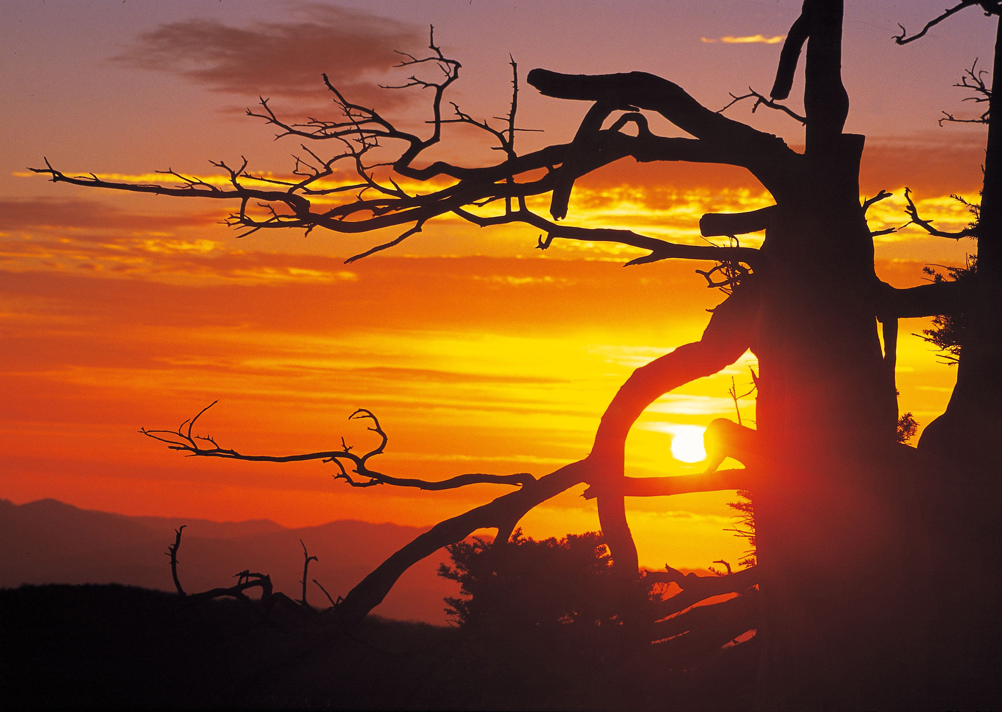 夕阳西下的意思解释夕阳西下的寓意