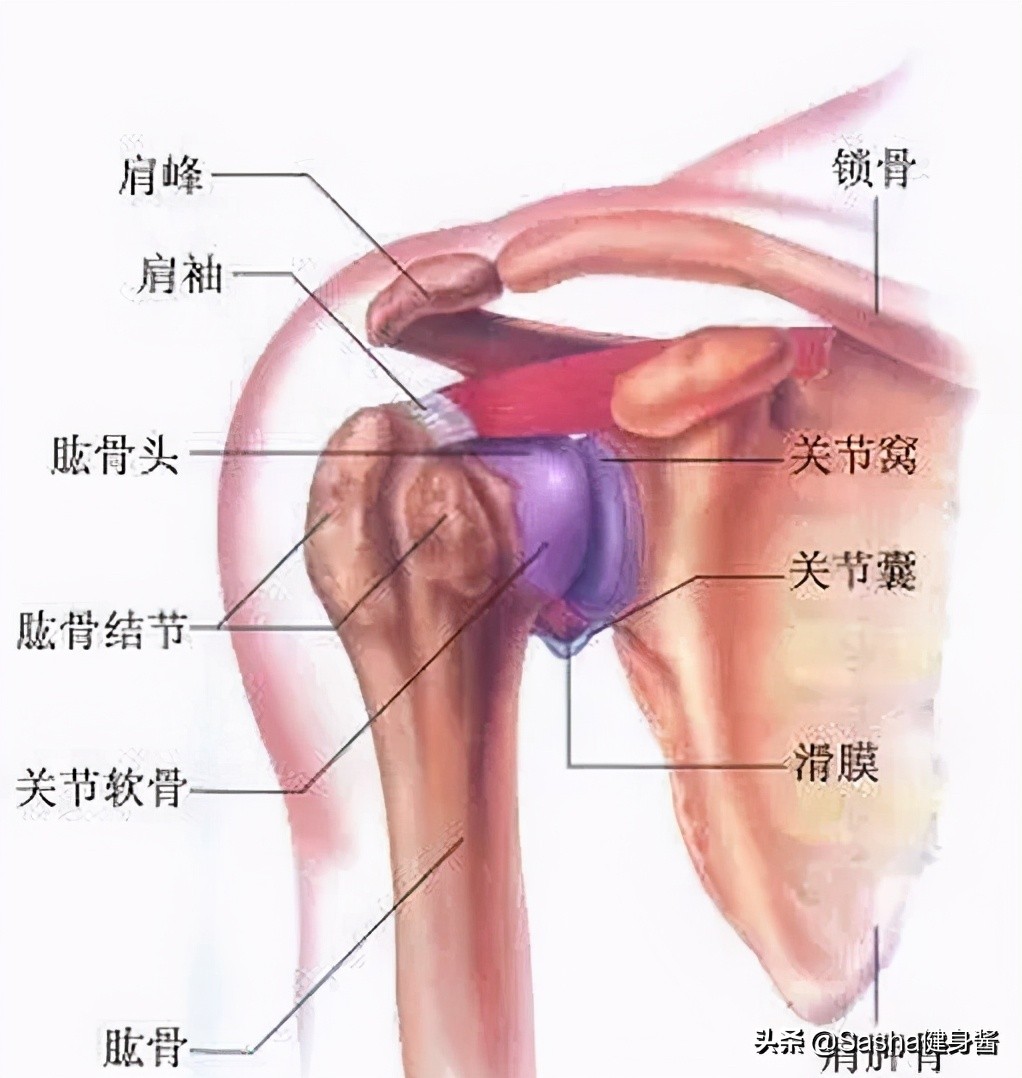 不老男神吴尊同学聚会惊呆众人，都说背薄显年