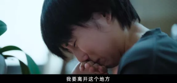 “周迅第二”的张子枫,把我们看哭了:你是姐姐,实乃最毒的鸡汤