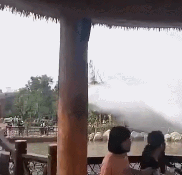 爆笑GIF图片：小伙子，你这是要羡慕死你的一帮兄弟啊！