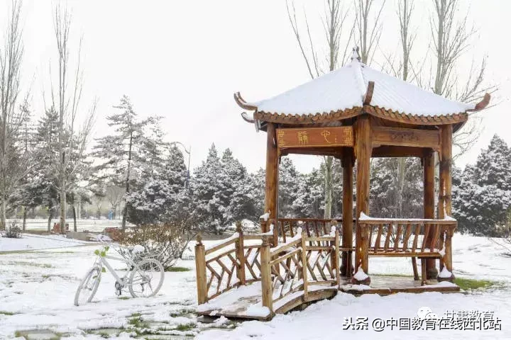 甘肃初雪|甘肃18所高校初学雪景大PK,快来看看有你的母校没?