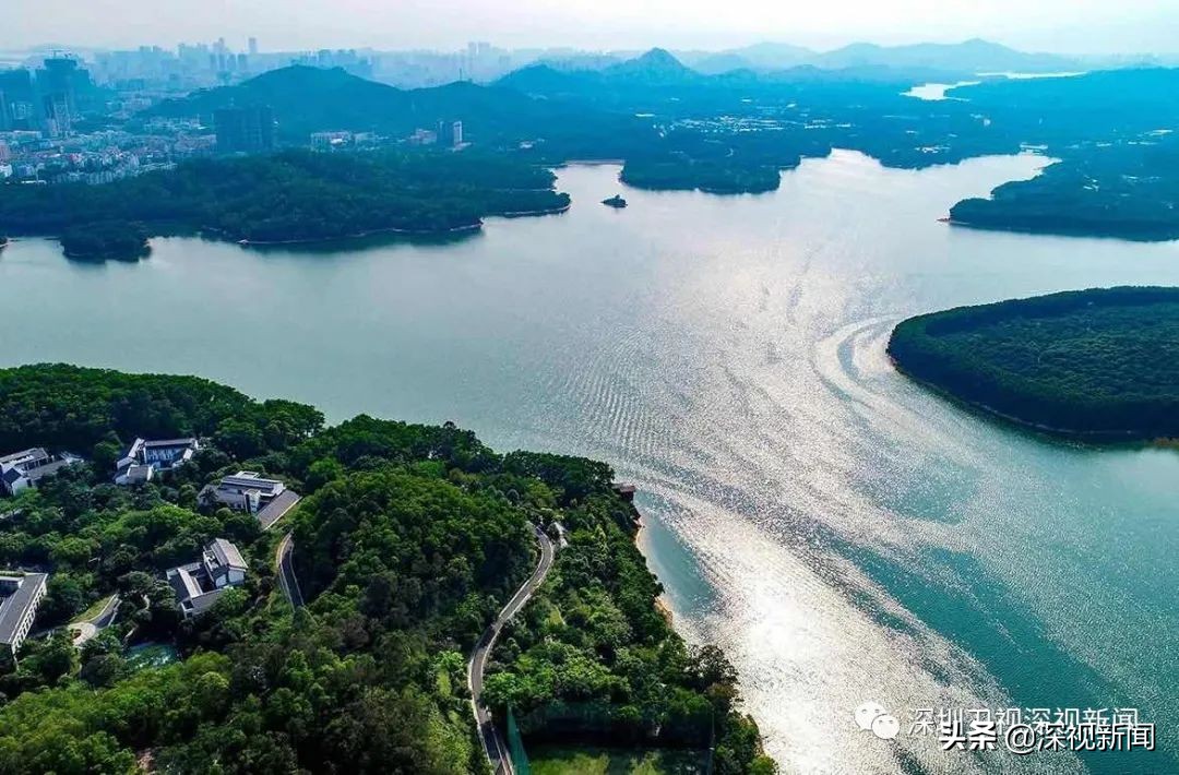 新闻联播：深圳提升民生福祉 打造民生幸福标杆