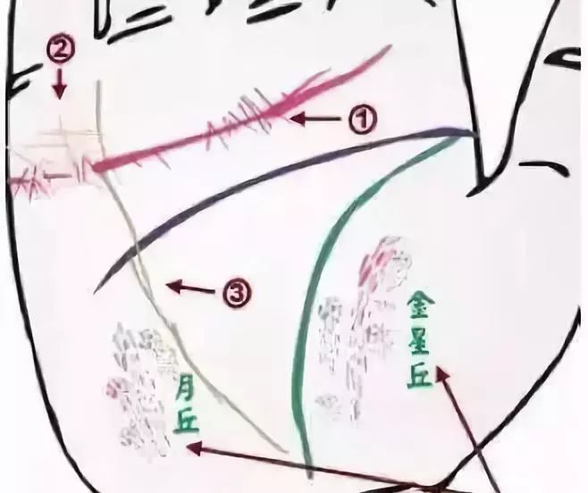 24种手诊图 堪比x光线 揭示你的身心健康 抢工匠grabartisan平台