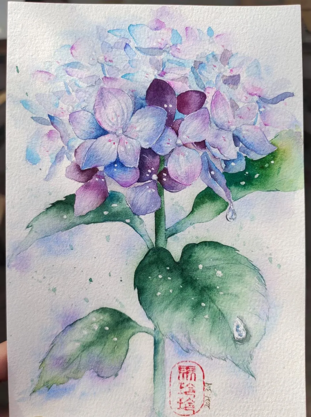 一起画画 第七期 画绣球花打卡作品集 图片版 木子小鱼 Mdeditor 一起画画 第七期 画绣球花打卡作品集 图片版 木子小鱼 Mdeditor