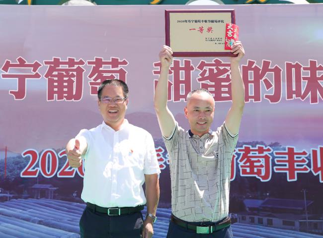 “寿宁葡萄，甜蜜的味道”2020年寿宁葡萄丰收节圆满举办成功