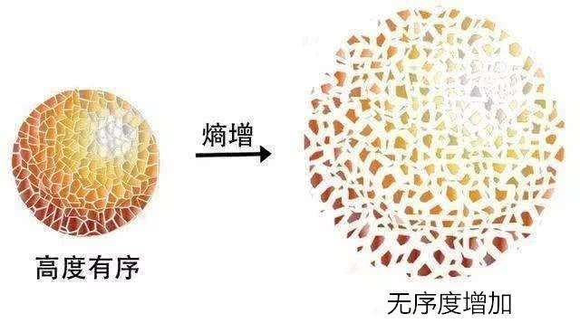 最悲觀的定律“熵增定律”，它意味著一切事物都走向終結(jié)