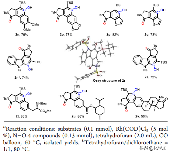 华东师范大学姜雪峰课题组JACS：合成全取代芳炔前体