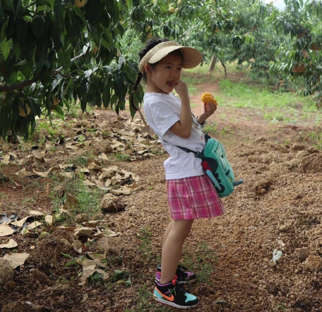 服！ 章子怡5歲女兒接觸冷血動物，醒醒徒手抓蛇摸蜥蜴超淡定