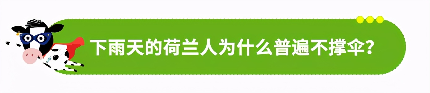 下雨天荷兰人为什么不打伞？
