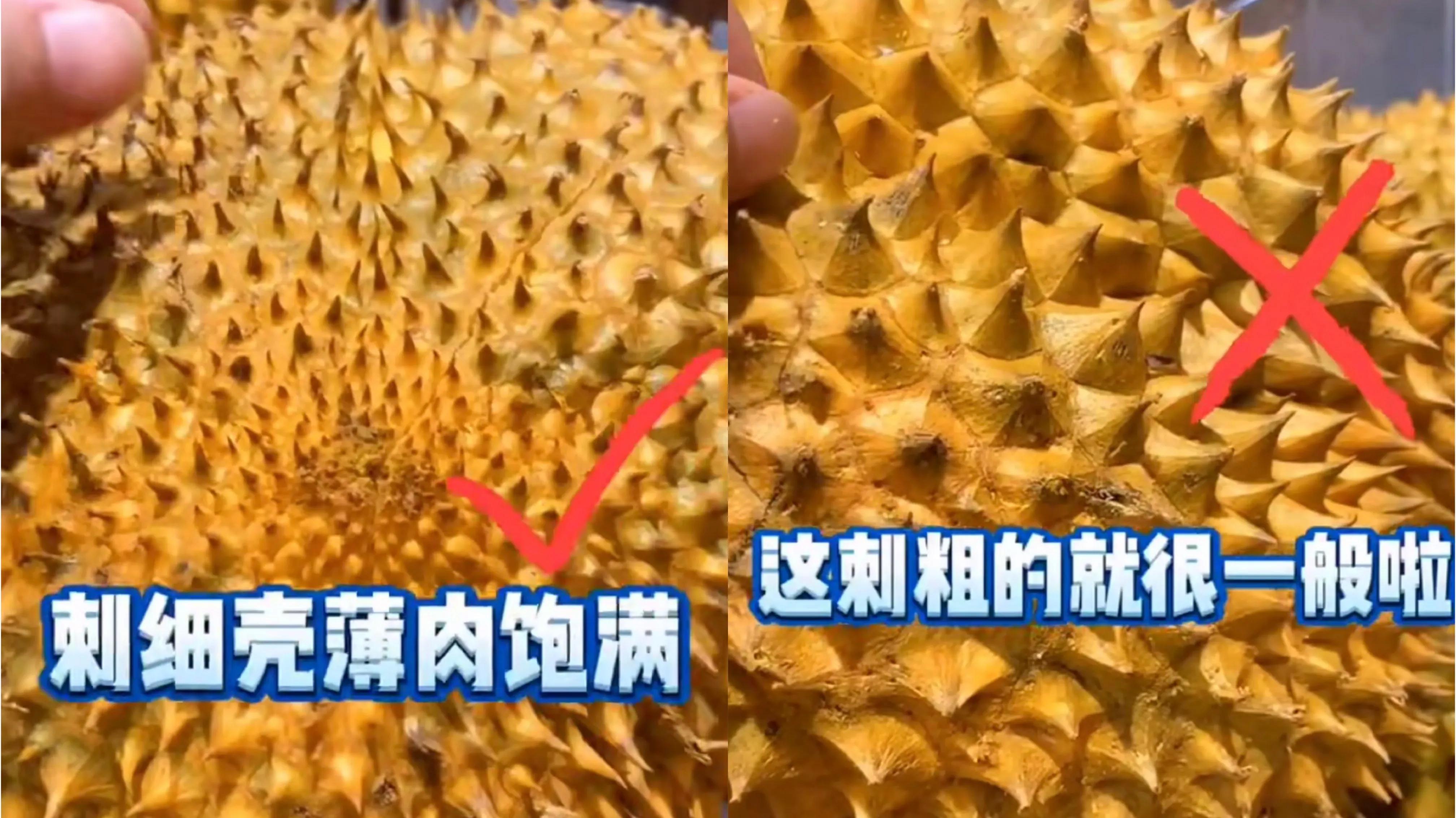 幾招教你挑選好的水果