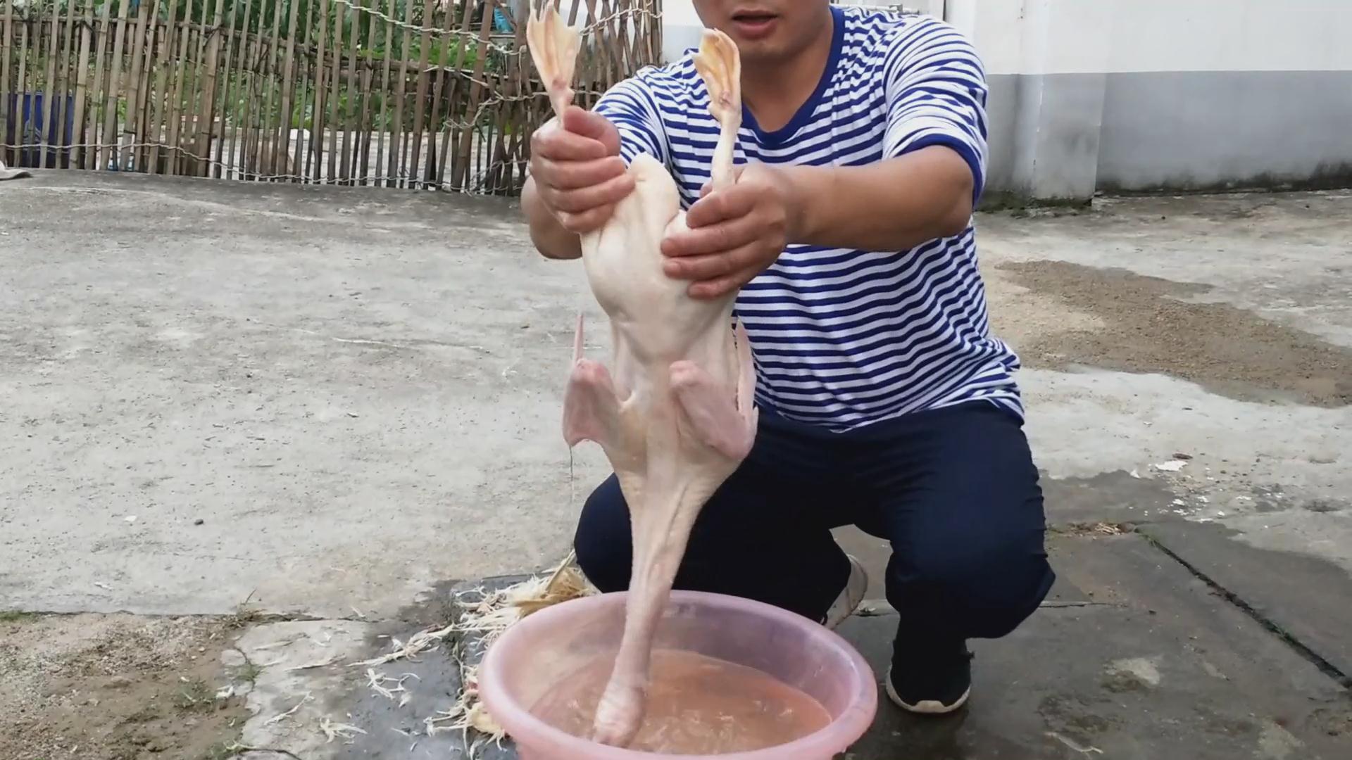 鸭子脱毛原来可以用这种方法，就像脱衣服一样快，长见识了