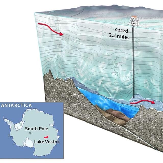 科學家再次沸騰！古生命跡象被發(fā)現(xiàn)后，南極冰蓋中又出現(xiàn)不明生物