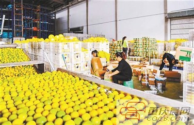 平台“大数据杀熟”收敛了吗？还没有还没有，他们的套路更深了