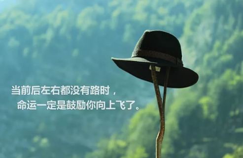 人生感悟的句子简短很精辟的那种 关于对人生感悟的句子