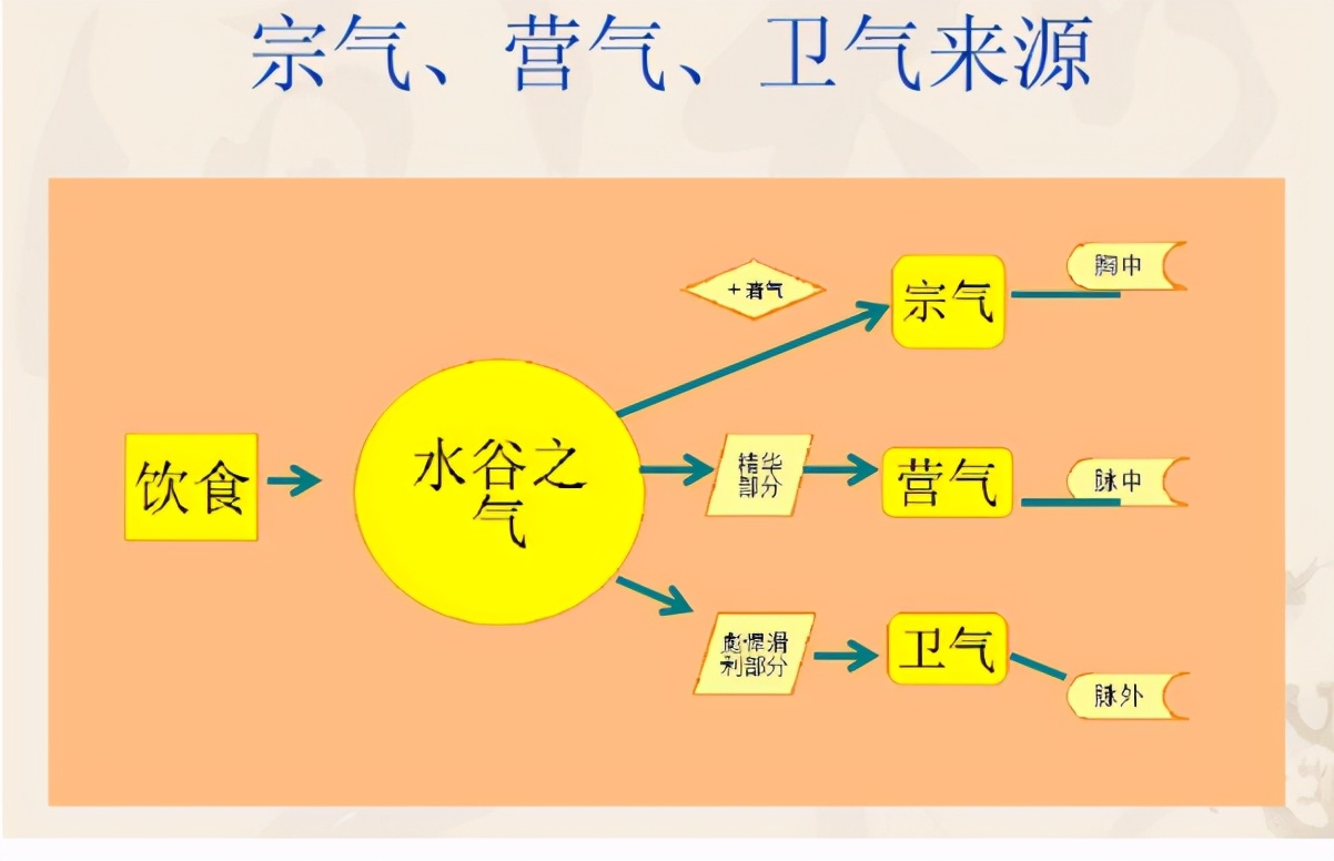 中医解惑：卫气是出于“上焦”还是“下焦”？