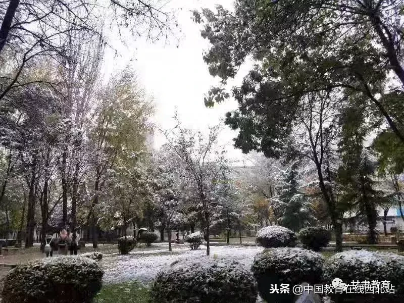 甘肃初雪|甘肃18所高校初学雪景大PK,快来看看有你的母校没?