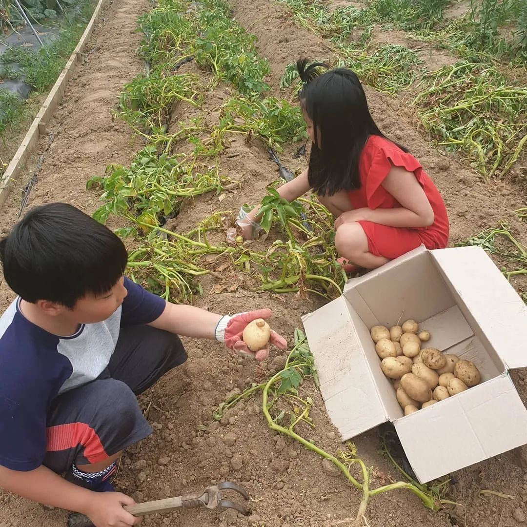 从亚洲最红女星到乡下农妇，49岁的李英爱刷新了