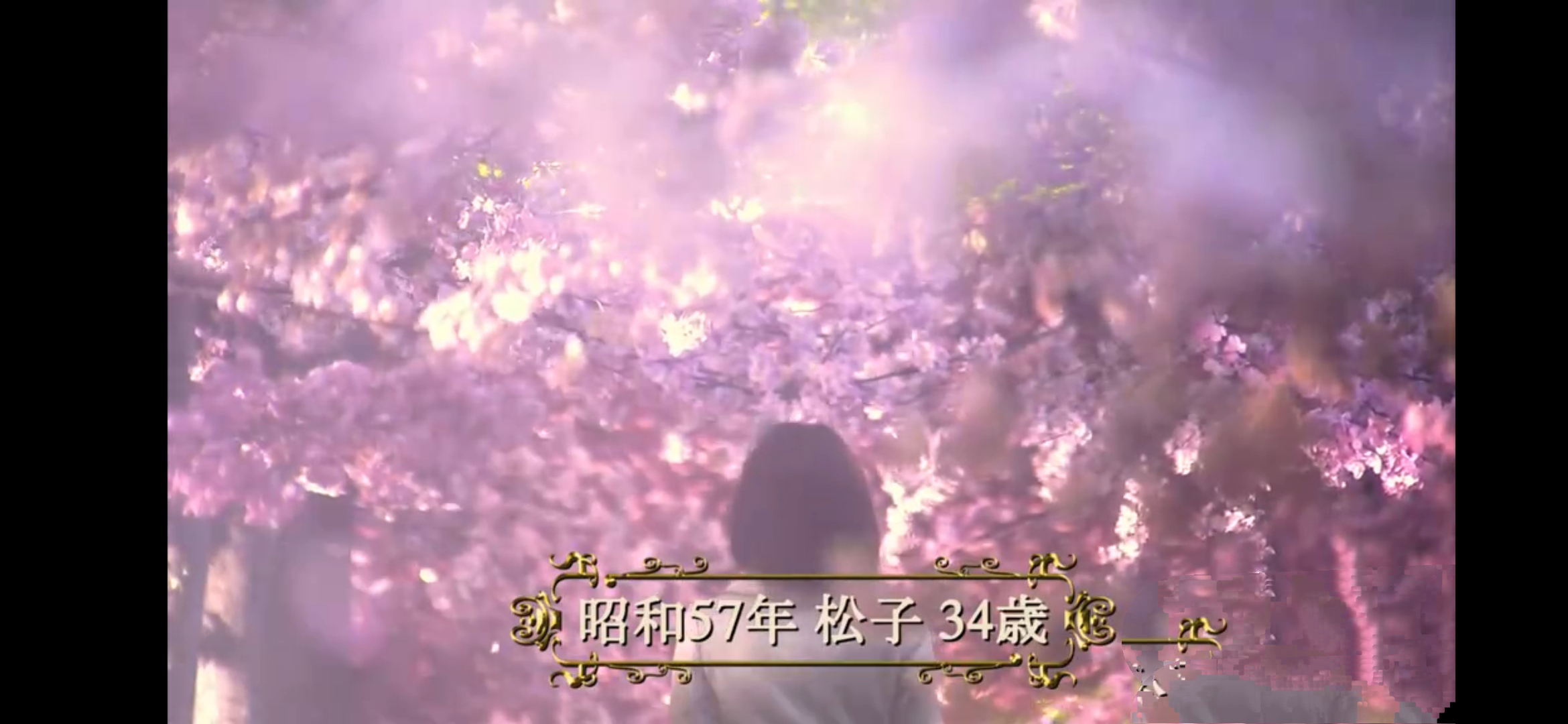 《被嫌弃的松子的一生》豆瓣高分电影，为什么