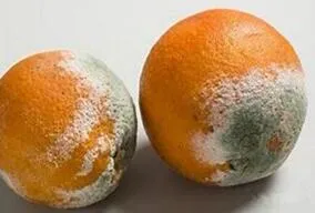 家务事,我有妙招,照着做遇到问题不再手忙脚乱!还不快试试! 家务妙招 第4张 家务事,我有妙招,照着做遇到问题不再手忙脚乱!还不快试试! 家务妙招 第4张