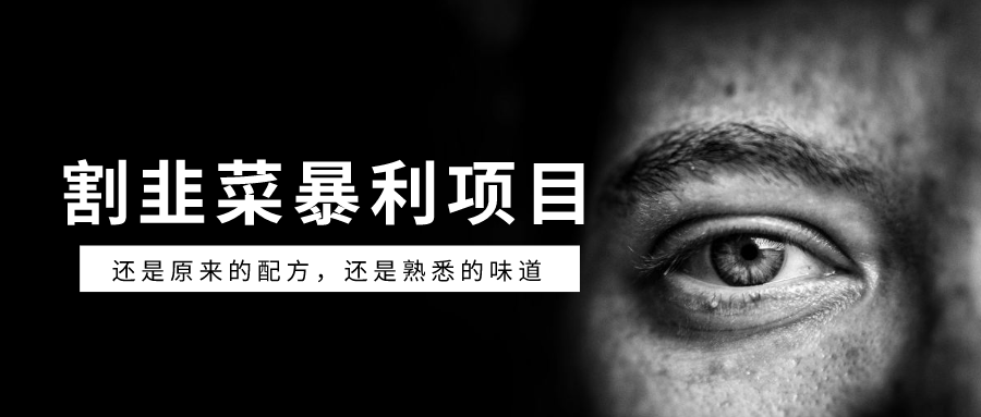 灰产揭秘：那些月入百万的“嗜血”灰黑产