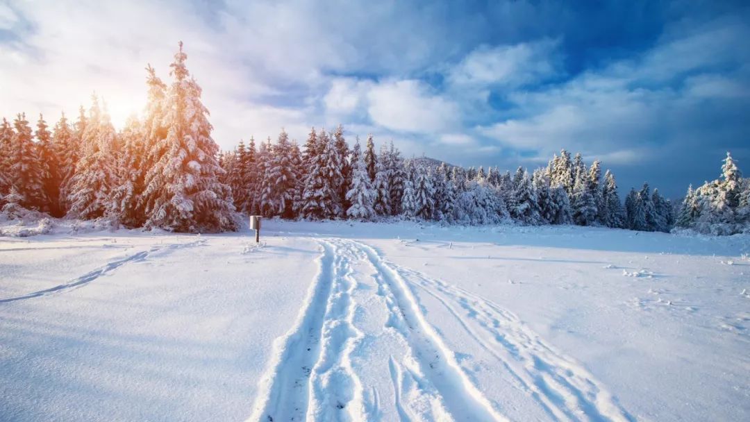 100句雪诗词，遇见最美冬天-第10张图片-诗句网