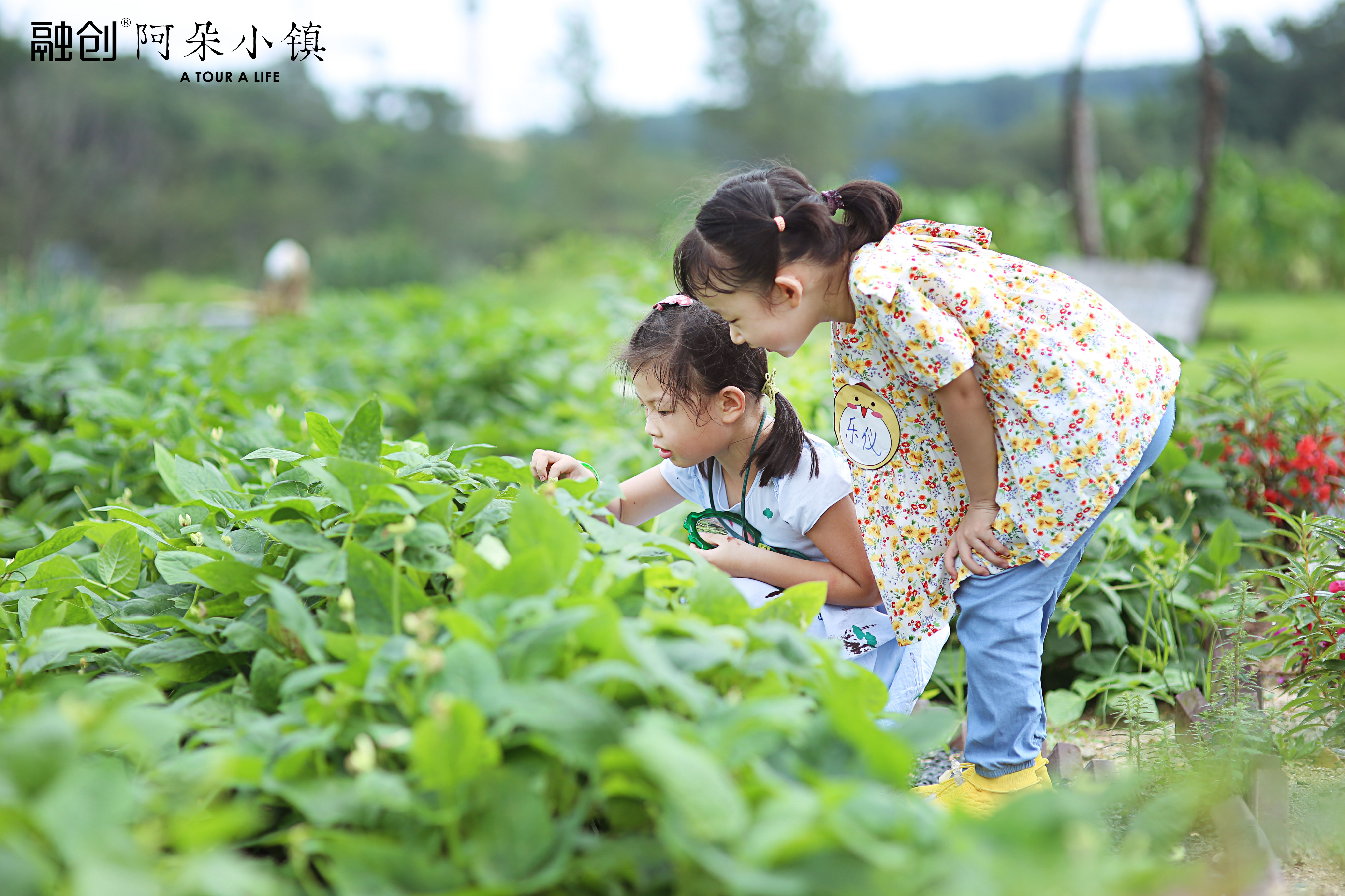 2021融创北京集团 X 美好旅行节高燃来袭，共启盛夏欢乐之旅