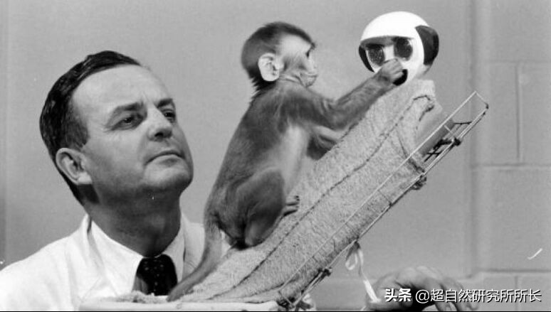 三個直擊你心靈的實驗，請直麵你的內心