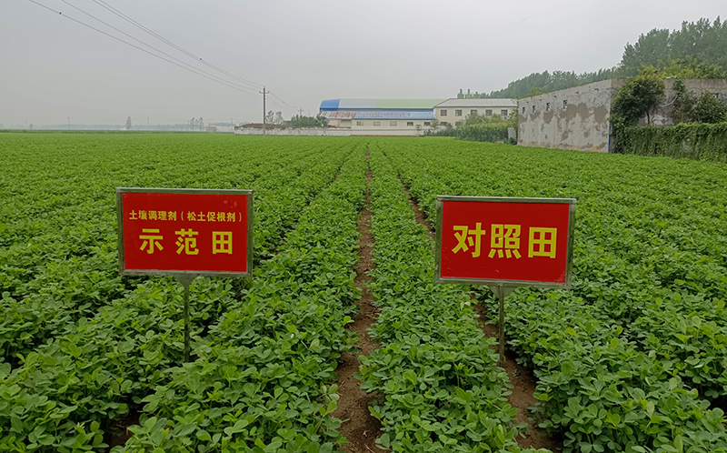 土壤改良有新法兒，松土促根土壤改良技術，助力構建健康疏松耕層