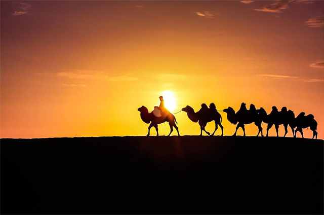 �������ſˣ�����Ϊʲô���������й�����