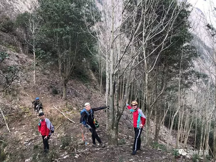 十八洞、迷魂谷、显胜门......雁荡险峰风光无限美!