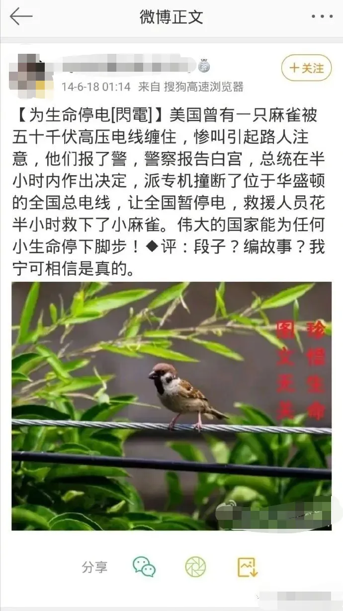 "德國良心下水道""美國霸氣小護照"……這些你信過的謠真相在這