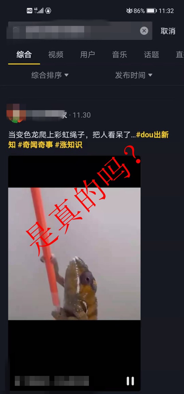 变色龙能够根据碰到的任何东西来改变自己身体的颜色？是真的吗？